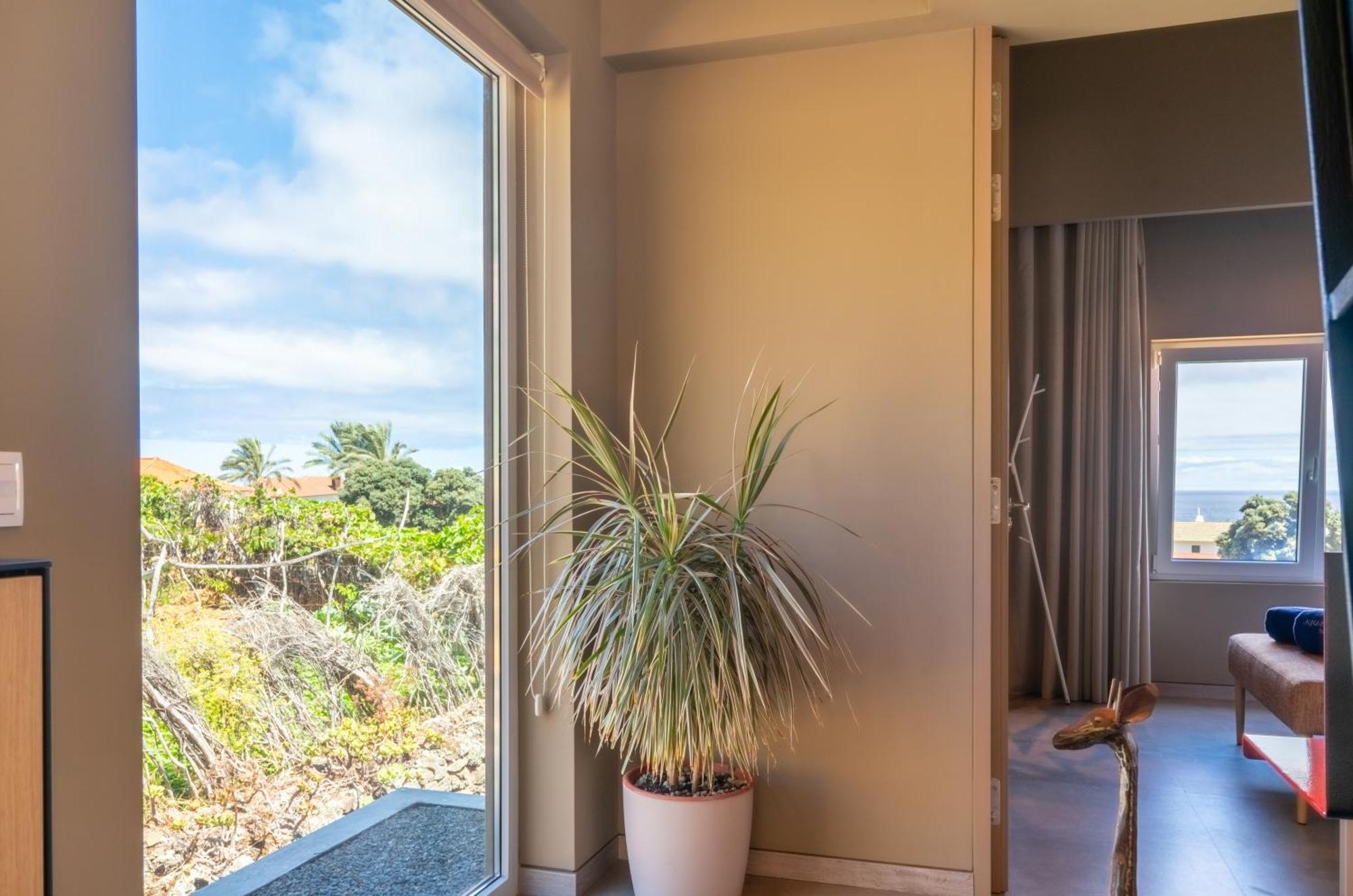 Villa Doca Seca & Casca De Uva à Porto Moniz Extérieur photo